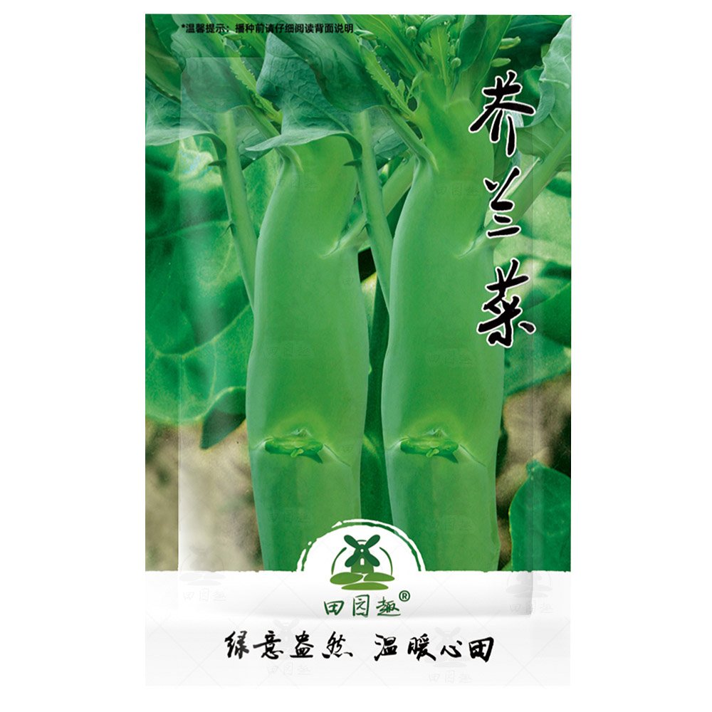 600pcs Mustard seed vegetable seed Choy Sum SeedsItem NO.: SH10822C
