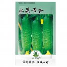 80pcs Fruit cucumber Seeds HEIRLOOM Vegetable Garden Fresh SeedItem NO.: SH10833C