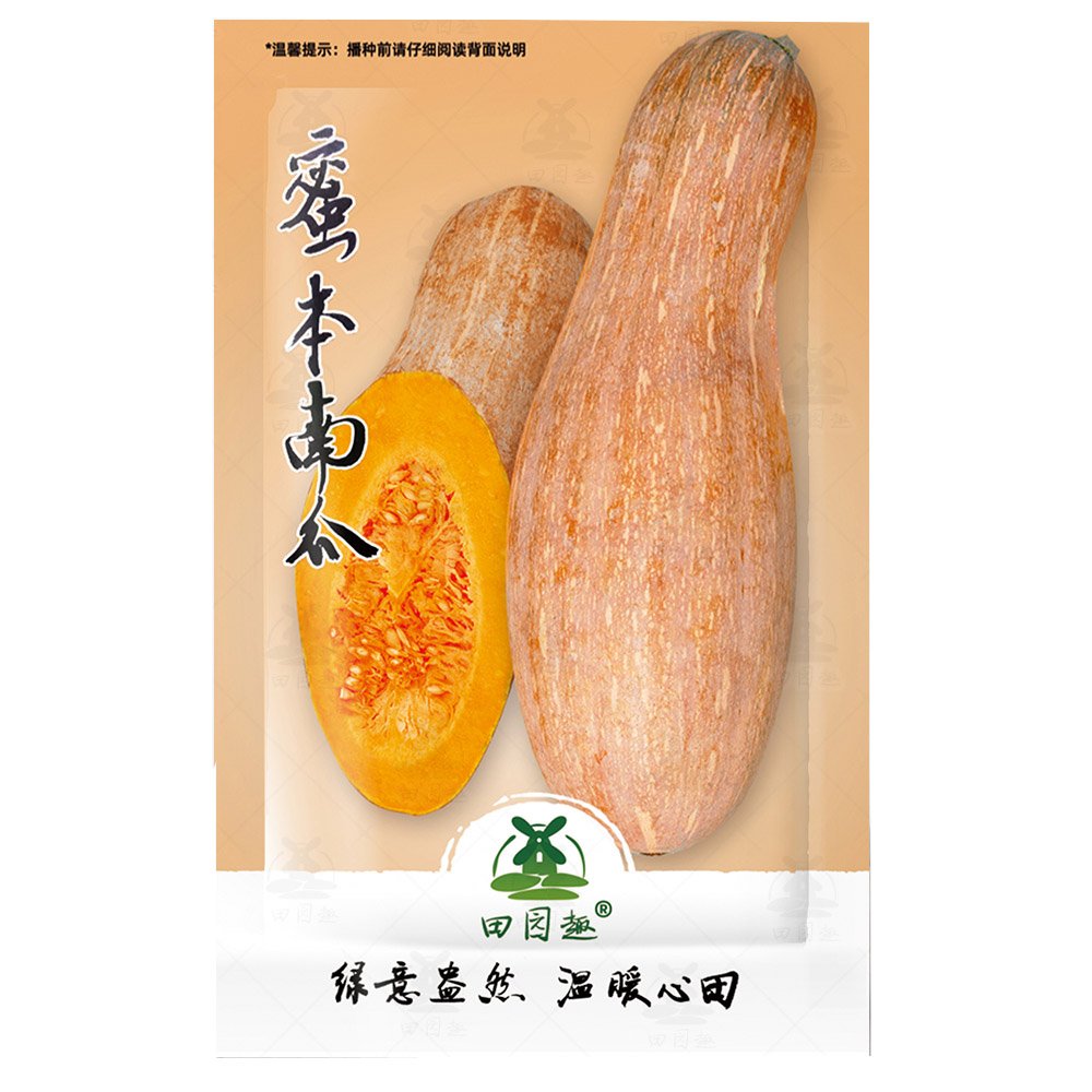 40pcs Long Pumpkin Seeds Winter Crookneck Squash Sweet pumpkin garden seedsItem NO.: SH10847C