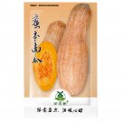 40pcs Long Pumpkin Seeds Winter Crookneck Squash Sweet pumpkin garden seedsItem NO.: SH10847C