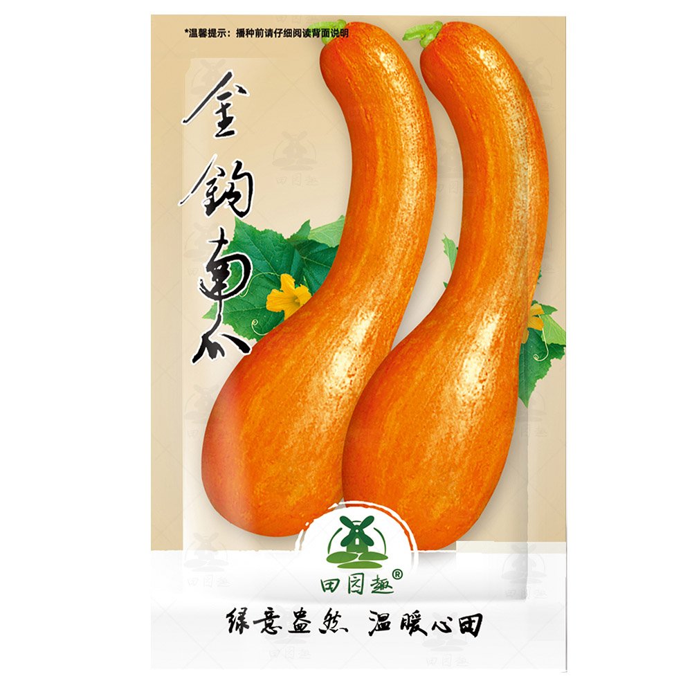 40pcs Long pumpkin seeds winter curved-necked pumpkin seeds non-GMO family heirloomItem NO.: SH10852