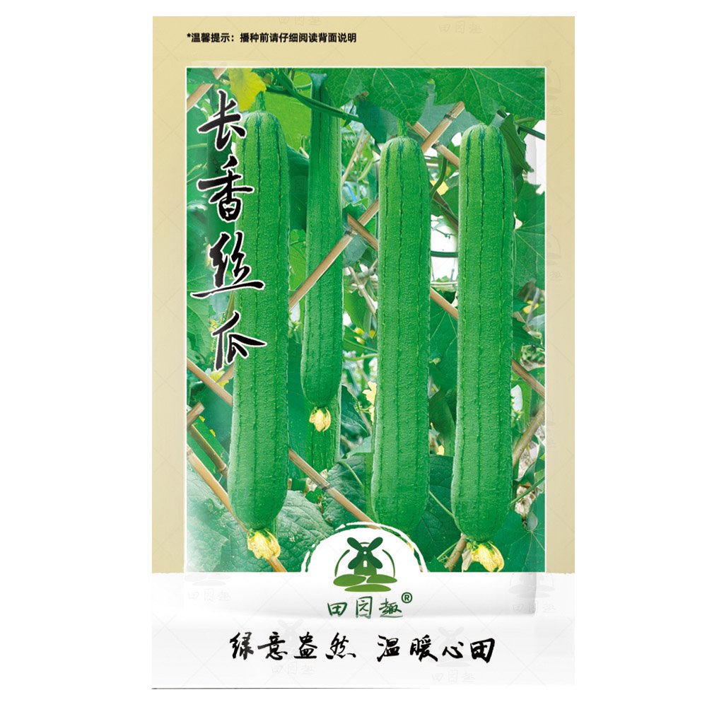 30pcs Luffa Gourd, Sponge Loofa Or Patola SeedsItem NO.: SH10856C