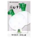 700pcs Hailstone White Globe Radish Seeds, White Button, NON-GMOItem NO.: SH10858C