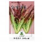 2500pcs Seeds Chinese leaf lettuce Sword pointed lettuce A ChoyItem NO.: SH10861C