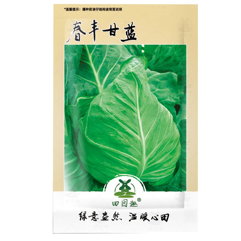400pcs CABBAGE SEED, EARLY JERSEY WAKEFIELD, HEIRLOOM, ORGANIC, NON GMOItem NO.: SH10865C
