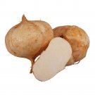 10pcs seed Jicama Pachyrhizus Erosus Organic Vegetables Home Garden High QualityItem NO.: SH10879C 10pcs seed Jicama Pachyrhizus Erosus Organic Vegetables Home Garden High QualityItem NO.: SH10879C
