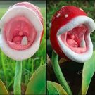 200PCS Eat Cordyceps Dionaea Muscipula Clip Venus Flytrap Plant SeedsItem NO.: SH11421C