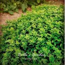 100pcs Dark Green Dwarf Basil 'Pluto' Seeds Annual Herb SeedsItem NO.: SH11429C