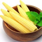 50 Pcs Mini Baby Sweet Corn Seeds Vegetable PopornItem NO.: SH11597C