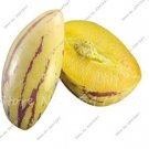 Ginseng Fruit Seed Plant Seed Plant Vegetables Ornamental Funny Seed for Home & Garden Delicious Fru Ginseng Fruit Seed Plant Seed Plant Vegetables Ornamental Funny Seed for Home & Garden Delicious Fru