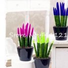 200 Pcs Mixed Sansevieria Trifasciata Bonsai Potted Balcony Office Seed Pots Indoor Seed Perennial B