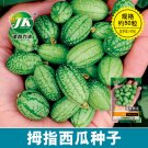 100PCS thumb watermelon seeds eat raw mini fruit small watermelon seeds balcony potted home gardenin