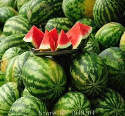 Lazy Melon King Watermelon Bonsai red Meat Garden Balcony Potted Fruit 30pcs - (Color: 1)Item NO.: S