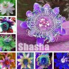 Exotic Passion Flower Seeds, MixedItem NO.: CO-1683