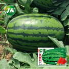 5 Bags (25 Seeds / Bag) of 'Lanzhou P2' Series: Large-Fruit, Traditional Variety, Super Sweet Waterm