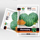5 Bags (20 Seeds / Bag) 'Rainbow Ice Cream' Series Watermelon SeedsItem NO.: ZZ-1155-choice
