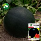 5 Bags (25 Seeds / Bag) of Black Landmine' Series Watermelon SeedsItem NO.: ZZ-1041-choice