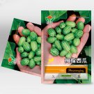 5 Bags (50 Seeds / Bag) of Cucamelons Seeds, Mexican Sour GherkinsItem NO.: CP-1158 5 Bags (50 Seeds / Bag) of Cucamelons Seeds, Mexican Sour GherkinsItem NO.: CP-1158