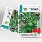 5 Bags (50 Seeds / Pack) of 'Apis Forea' Series Bonsai Watermelon SeedsItem NO.: CP-1152 5 Bags (50 Seeds / Pack) of 'Apis Forea' Series Bonsai Watermelon SeedsItem NO.: CP-1152