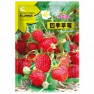5 Bags (200 Seeds / Bag) of 'Medelet' Series Red StrawberryItem NO.: CP-1703