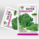 5 Bags (100 Seeds / Bag) of 'Blue Ridge' KaleItem NO.: ZZ-1705-choice