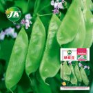 Greenery Galore: 5 Bags (10 Seeds / Bag) of Hyacinth Bean for a Flourishing GardenItem NO.: ZZ-1721-