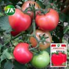 Pink Perfection: 5 Bags (200 Seeds / Bag) 'Fluffy Pink 802' Tomatoes - Your Garden's PrideItem NO.: 