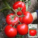 Endless Growth Delight: 5 Bags (200 Seeds / Bag) of Premium 'China Veggies No.4' TomatoesItem NO.: Z Endless Growth Delight: 5 Bags (200 Seeds / Bag) of Premium 'China Veggies No.4' TomatoesItem NO.: Z