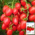 Jam Selection: 5 Bags (200 Seeds / Bag) of Top-Performing Salad TomatoesItem NO.: ZZ-1722-choice