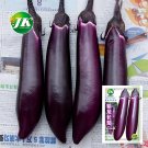 Spring-Summer Eggplant Seeds: Thick-Fleshed, Purple-Red VarietyItem NO.: ZZ-1752-choice