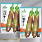 Bamboo Silk Marvel: Flowering Eggplant Seeds from SichuanItem NO.: ZZ-1757-choice