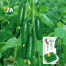 Jewel of the Netherlands – Thornless Cucumber SeedsItem NO.: CP-1675 Jewel of the Netherlands – Thornless Cucumber SeedsItem NO.: CP-1675