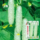 Crisp White Cucumber with Spiky VinesItem NO.: ZZ-1764-choice