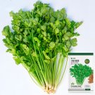 Jingyan® Organic Coriander SeedsItem NO.: YQ-1004-choice
