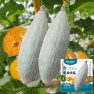 Noble Pumpkin Hybrid SeedsItem NO.: CP-1678