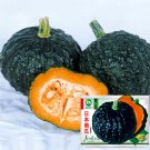 Japanese Black Pumpkin SeedsItem NO.: YQ-1008-choice