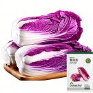 Jingyan® Red Napa Cabbage SeedsItem NO.: YQ-1023-Choice