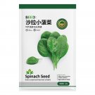 Jingyan® Salad Baby Spinach SeedsItem NO.: YQ-1035-Choice