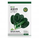 Jingyan® Swift No.9 Spinach SeedsItem NO.: YQ-1036-Choice