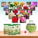 Heirloom Seeds of 20 Flowers Assortment in Distinctive Packaging Combo #002Item NO.: Comb-002-choice