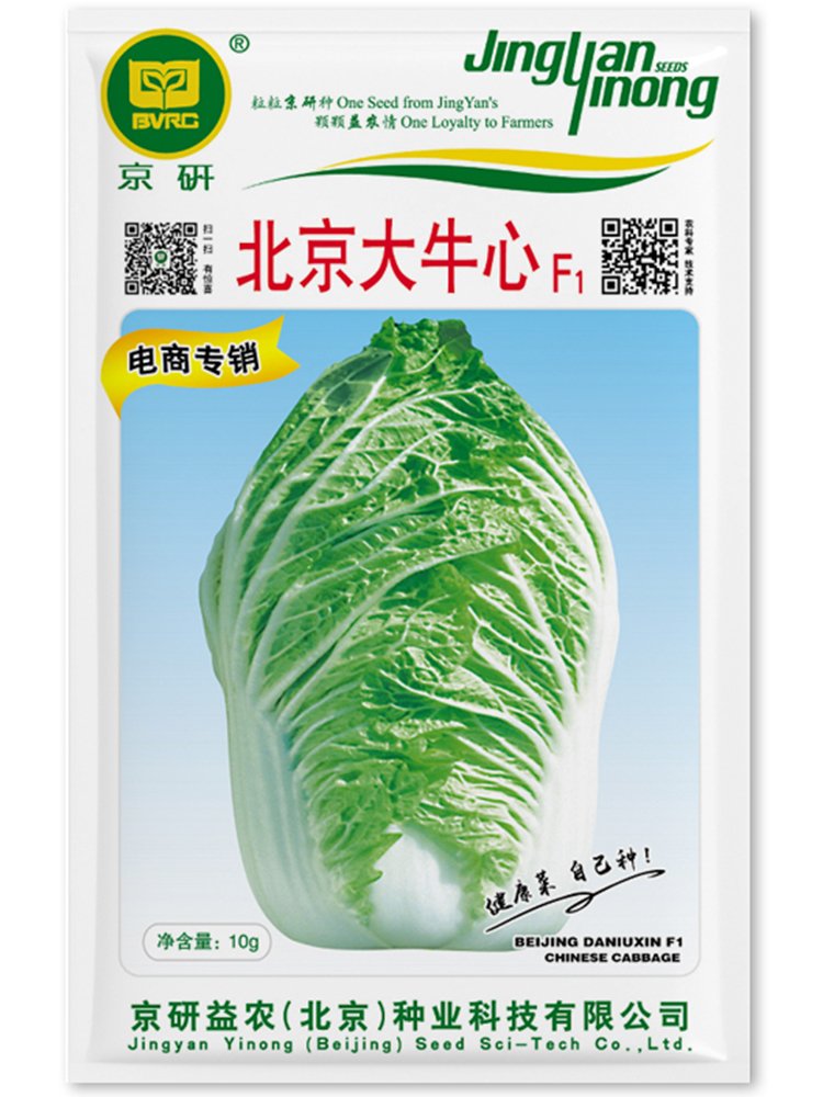 Jingyan&Acirc;&reg; Peking Ox-heart Cabbage SeedsItem NO.: YQ-1102-choice