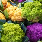 ® Broccoli, Mixed Purple/Romanesco/YellowItem NO.: YQ-1112