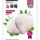 Cream White Strawberry Seeds – Year-Round Container Variety for Indoor & Outdoor GrowingItem NO.: Cream White Strawberry Seeds – Year-Round Container Variety for Indoor & Outdoor GrowingItem NO.: