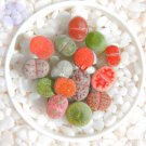 Mixed 10 Types of Lithops Succulent Seeds, 10 seeds, professional pack, green red gray bi-color livi Mixed 10 Types of Lithops Succulent Seeds, 10 seeds, professional pack, green red gray bi-color livi