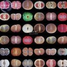Mixed 10 Types of Lithops Seeds, 10 seeds, professional pack, 100% right varieties living stones suc Mixed 10 Types of Lithops Seeds, 10 seeds, professional pack, 100% right varieties living stones suc