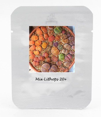 Mix Lithops Aucampiae Amazing Succulent Plant Seeds  NF404Item NO.: NF404