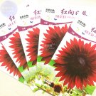 Sunflower Red Fire red-to-black Ornamental Flower SeedsItem NO.: BD366H