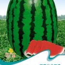 Deep Green Streak Ellipse Red Big Watermelon SeedsItem NO.: XL311033