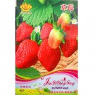 Rare Heirloom Organic Oblate Red Big Sweet Strawberry Seeds, Original Pack, 40 Seeds / Pack, Tasty D Rare Heirloom Organic Oblate Red Big Sweet Strawberry Seeds, Original Pack, 40 Seeds / Pack, Tasty D