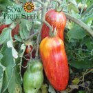 Speckled Roman Organic Heirloom Tomato SeedsItem NO.: BP002L